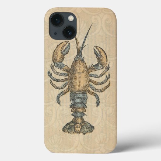 ヴィンテージ風ロブスターイラスト: コースタル ダマスク柄 Case-Mate iPhoneケース (裏面)