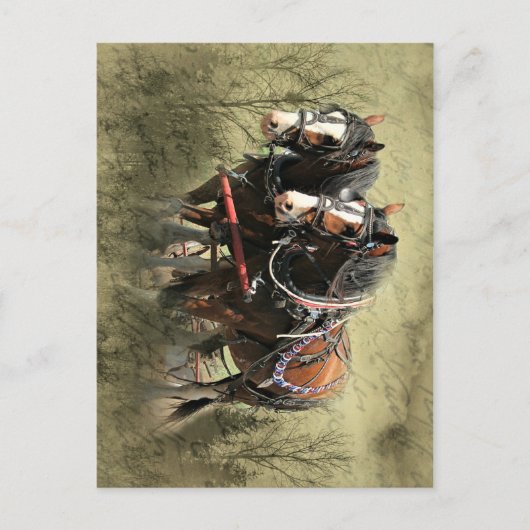 ヴィンテージ風化クレイデール葉書 ポストカード (正面)