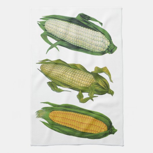 ヴィンテージ風 フード 健康野菜 とうもろこしの実 キッチンタオル (縦)