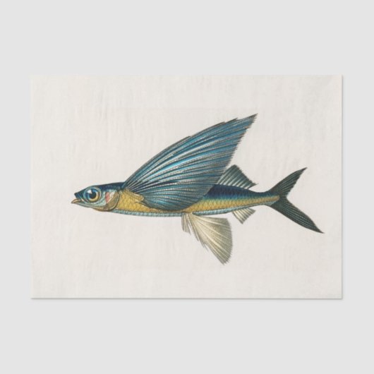 ヴィンテージ飛んでいるの水彩 薄葉紙 (正面)