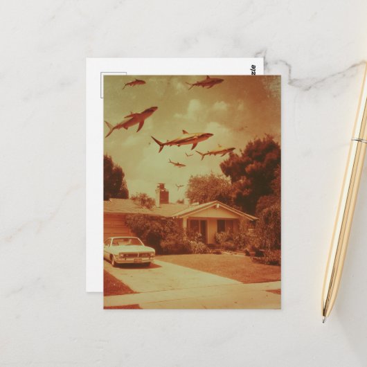 ヴィンテージ飛んでいるザメ ポストカード (正面/裏面インサイチュ)