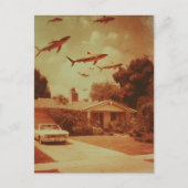 ヴィンテージ飛んでいるザメ ポストカード (正面)