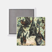 ヴィンテージ飛んでいるフォックスこうもりアダミアイラストレーション マグネット (正面/裏面)