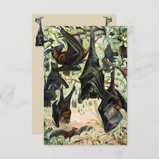 ヴィンテージ飛んでいるフォックスこうもりブラックこうもりエレガントゴシック 招待状 (正面/裏面)