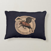 ヴィンテージ飛んでいる型航空標識 アクセントクッション (裏面)