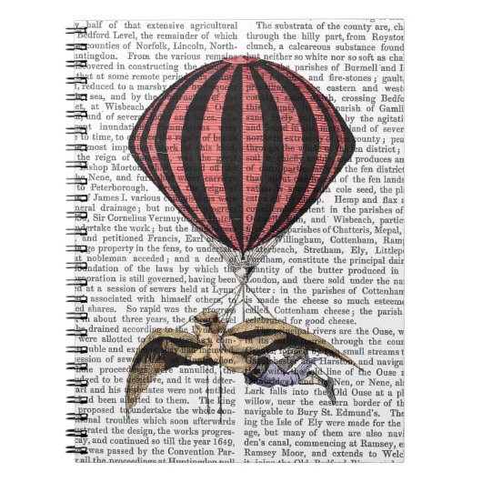 ヴィンテージ飛んでいる機 ノートブック (正面)