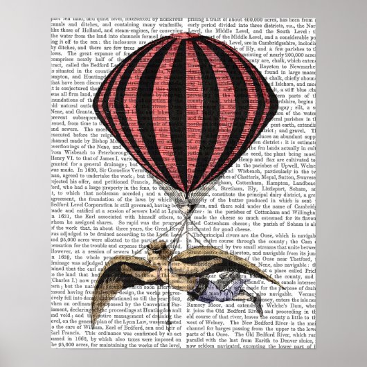 ヴィンテージ飛んでいる機 ポスター (正面)