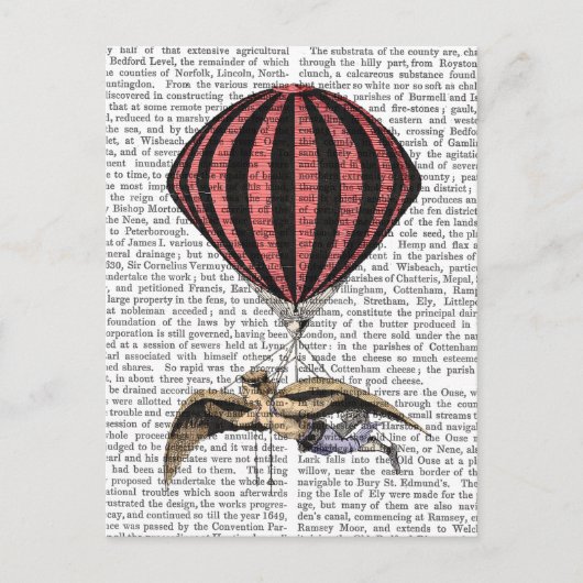 ヴィンテージ飛んでいる機 ポストカード (正面)