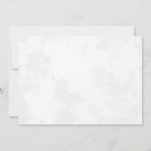 ヴィンテージ飛行機3歳の誕生日パーティー写真 招待状 (裏面)