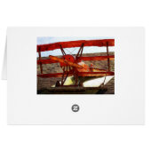 ヴィンテージ飛行機:シャーリー・テイラー (裏面横)