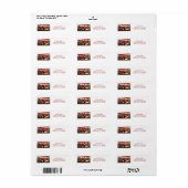 ヴィンテージ飛行機：シャーリー・テイラー ラベル (フルシート)