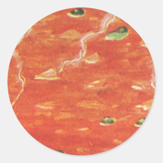 ヴィンテージ食べ物、エンドウ豆とトマトスープの熱いボウル ラウンドシール (正面)