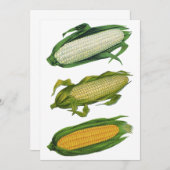 ヴィンテージ食品ヘルシーな野菜とCobの新鮮なトウモロコシ (正面/裏面)