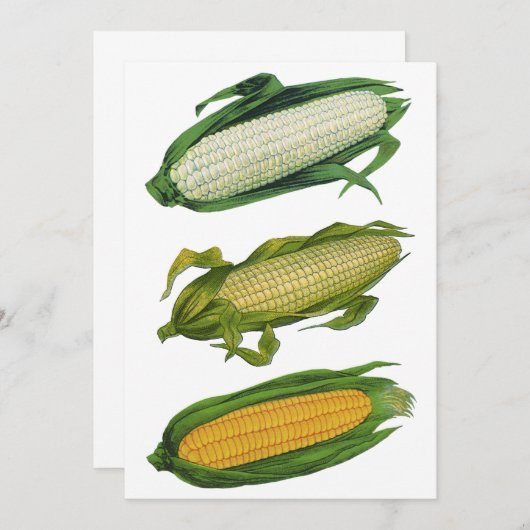 ヴィンテージ食品ヘルシーな野菜とCobの新鮮なトウモロコシ (正面/裏面)