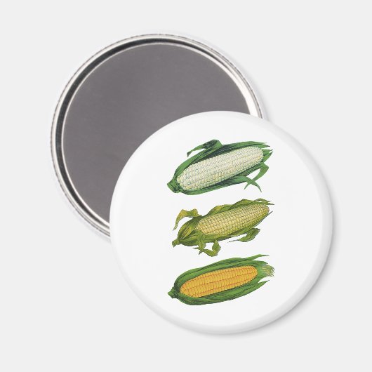 ヴィンテージ食品ヘルシーな野菜とCobの新鮮なトウモロコシ マグネット (正面/裏面)