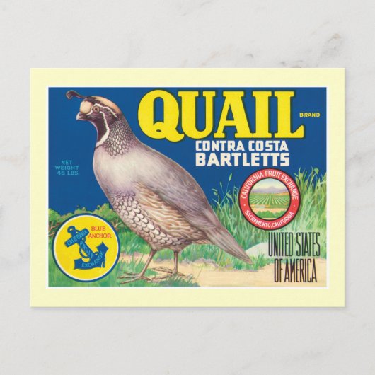 ヴィンテージ食品ラベル ポストカード (正面)