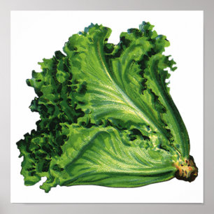 ヴィンテージ食品緑葉野菜 ポスター