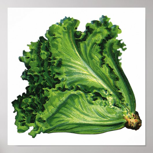 ヴィンテージ食品緑葉野菜 ポスター (正面)