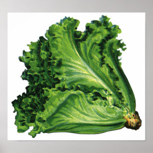 ヴィンテージ食品緑葉野菜 ポスター