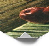 ヴィンテージ食品、ウインタースカッシュ、かぼちゃとリンゴ ポスター (角)