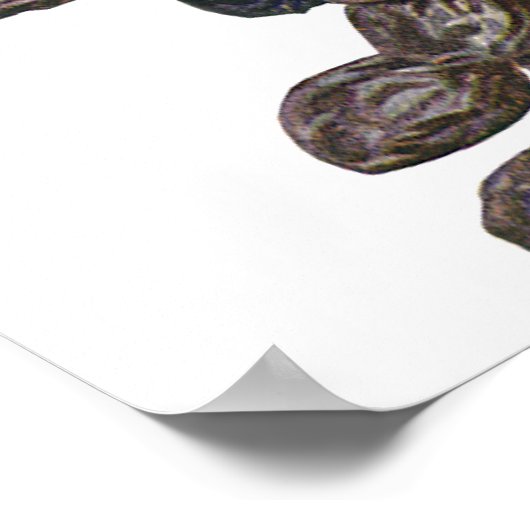 ヴィンテージ食品、クルミとアーモンド、フルーツとナッツ ポスター (角)