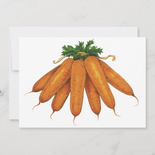 ヴィンテージ食品、ニンジンオーガニック野菜束 (正面)