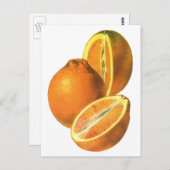 ヴィンテージ食品、フルーツオーガニックフレッシュ健康オレンジ ポストカード (正面/裏面)