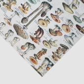 ヴィンテージ食用キノコチャート 薄葉紙 (詳細)