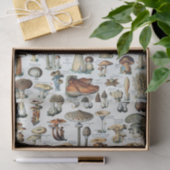 ヴィンテージ食用キノコチャート 薄葉紙 (ギフト)