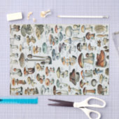 ヴィンテージ食用キノコチャート 薄葉紙 (クラフト)