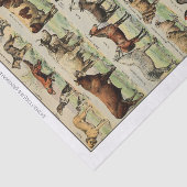 ヴィンテージ飼育動物の分離 薄葉紙 (詳細)