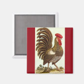 ヴィンテージ飼育動物ニワトリ誇りを持ったコ マグネット (正面/裏面)