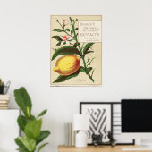 ヴィンテージ香味抽出広告ポスター ポスター (ホームオフィス)