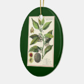 ヴィンテージ香辛料2種、ナツメグ、ブラックペッパー セラミックオーナメント (左)