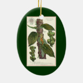 ヴィンテージ香辛料2種、ナツメグ、ブラックペッパー セラミックオーナメント (裏面)