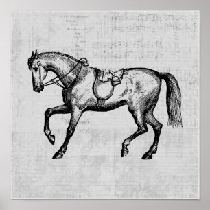 ヴィンテージ馬と音楽紙の背景 ポスター