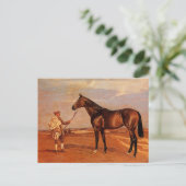 ヴィンテージ馬のブラウン ポストカード (スタンド正面)