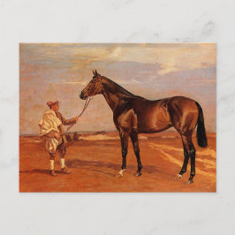 ヴィンテージ馬のブラウン ポストカード