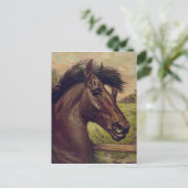 ヴィンテージ馬のポートレート血の王子1893 ポストカード (スタンド正面)