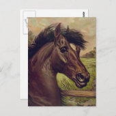 ヴィンテージ馬のポートレート血の王子1893 ポストカード (正面/裏面)
