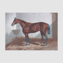 ヴィンテージ馬の安定したデコペ