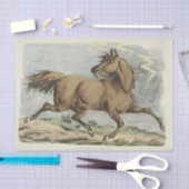 ヴィンテージ馬パーティー 薄葉紙 (クラフト)