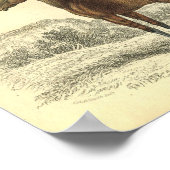 ヴィンテージ馬プリント子馬オブブロドマーレ ポスター (角)