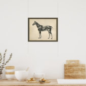 ヴィンテージ馬獣医筋解剖学プリント ポスター (キッチン)