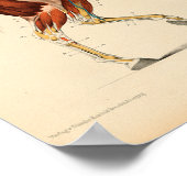 ヴィンテージ馬解剖学プリント筋肉 ポスター (角)