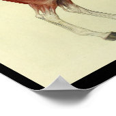 ヴィンテージ馬解剖学プリント ポスター (角)