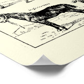 ヴィンテージ馬解剖学 ポスター (角)