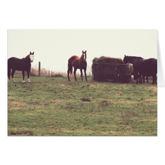 ヴィンテージ馬 (正面横)