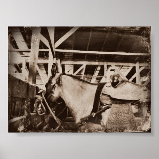 ヴィンテージ馬 ポスター (正面)