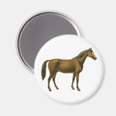 ヴィンテージ馬 マグネット (正面/裏面)